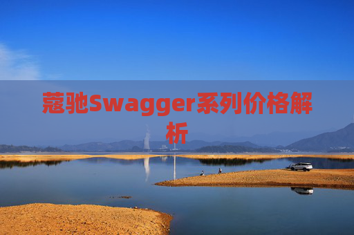 蔻驰Swagger系列价格解析